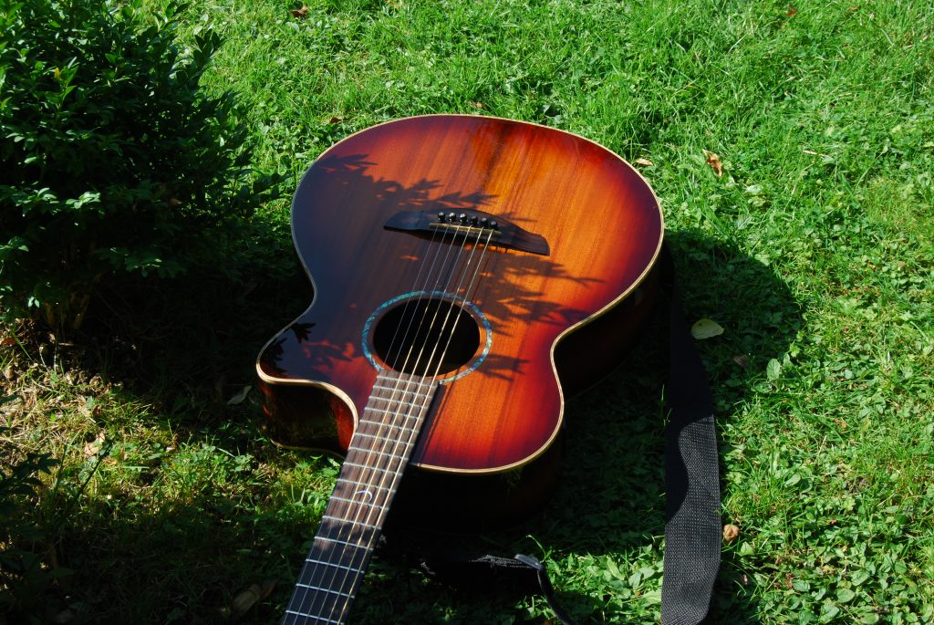 A small acoustic guitar lying on green grass, partially shaded by a small bush.