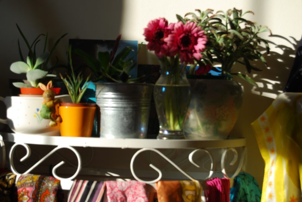 A close up of the sunlit table from the earlier photo, slightly out of focus in a way that softens all the edges.