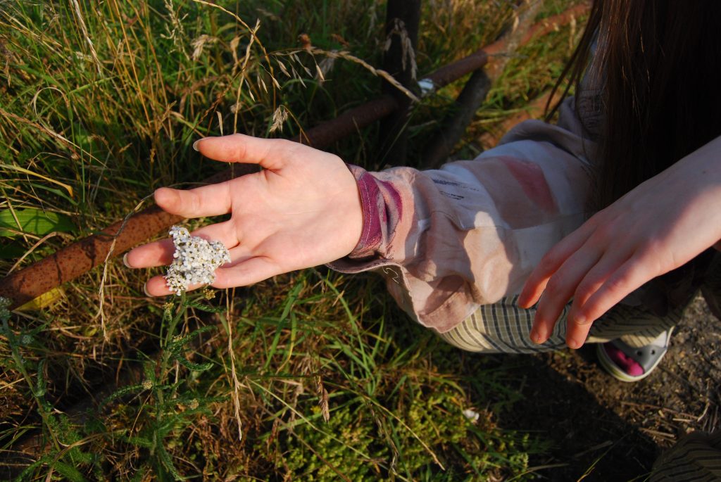 A slim, white hand holds a white flower.