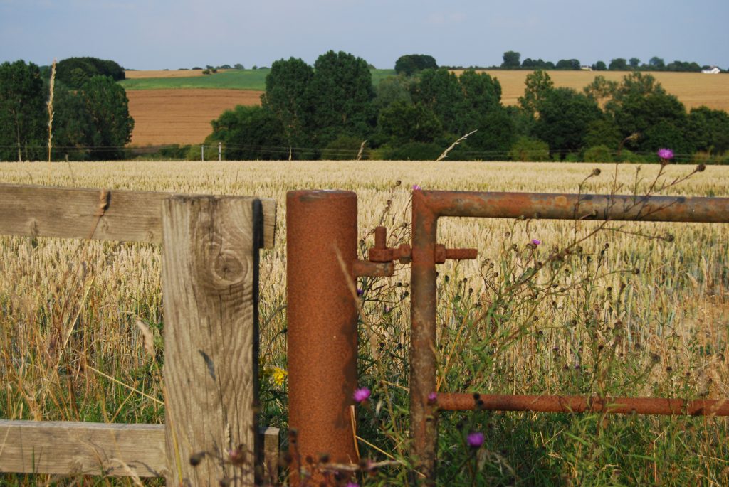 close up of farm gate